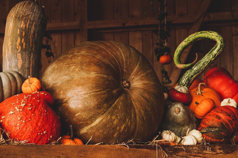 Fall harvest