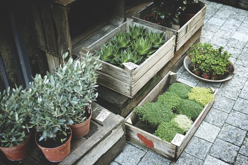Plant sales