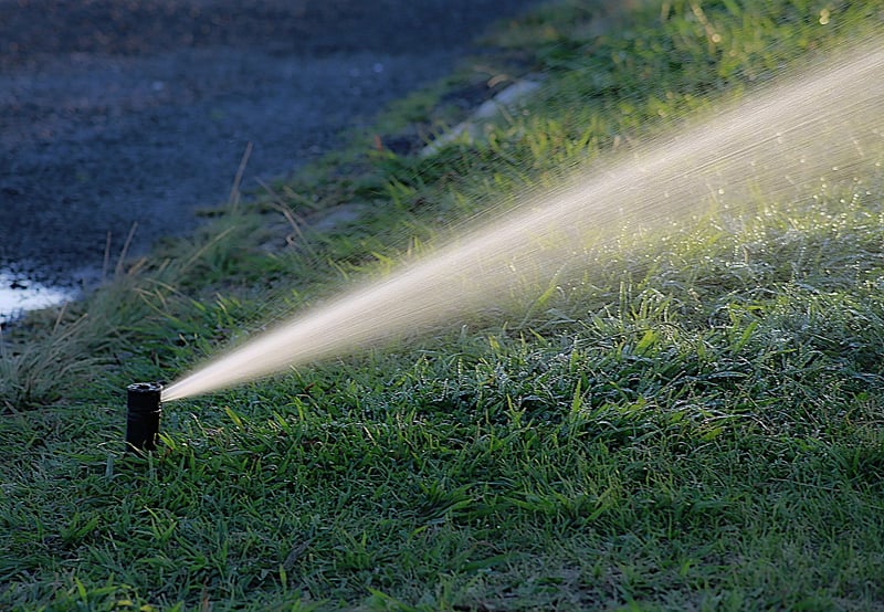 Summer watering